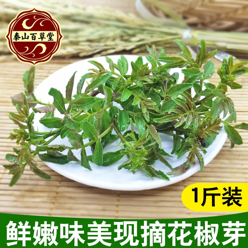 花椒芽新鲜头茬花椒芽菜野菜花椒叶特色山野菜芽苗菜现摘1斤装